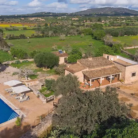 Son Coves By Slow